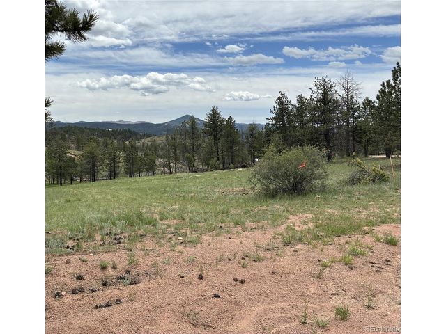 266 Chapparal Trl, Florissant, CO 80816