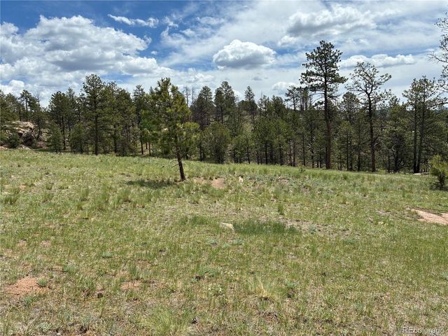 266 Chapparal Trl, Florissant, CO 80816