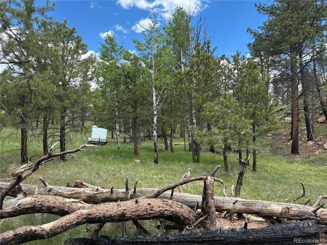 266 Chapparal Trl, Florissant, CO 80816