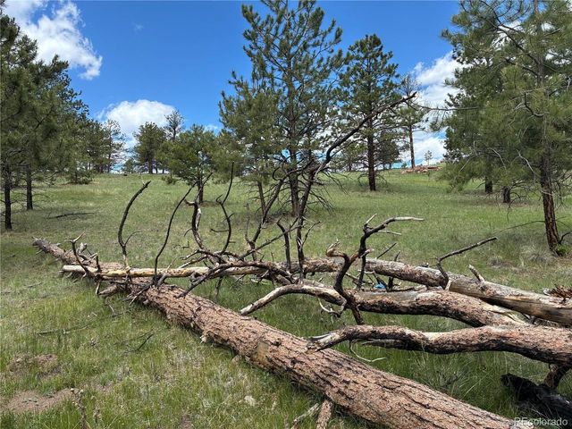 266 Chapparal Trl, Florissant, CO 80816