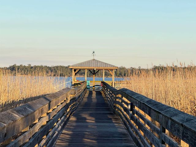 175 Commanders Island Rd., Georgetown, SC 29440
