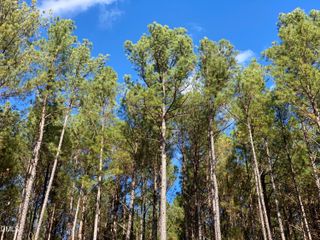 586 Anneliis Lane, Siler City, NC 27344