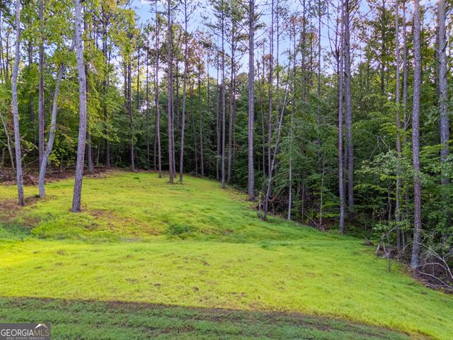 64 Liberty Station Drive, Bremen, GA 30110