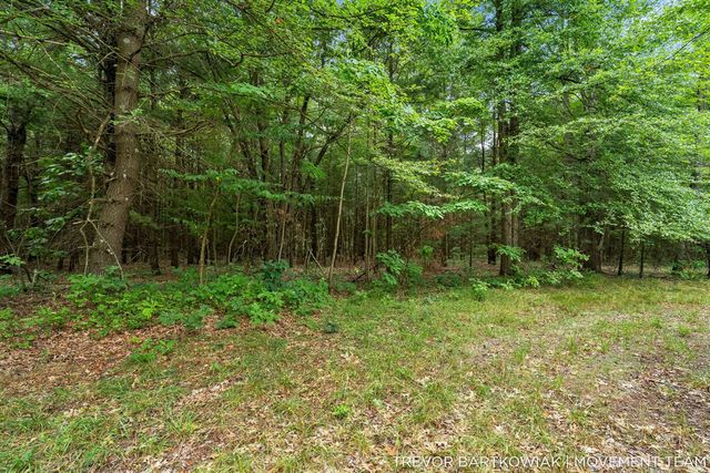 17708 120th Avenue, Nunica, MI 49448