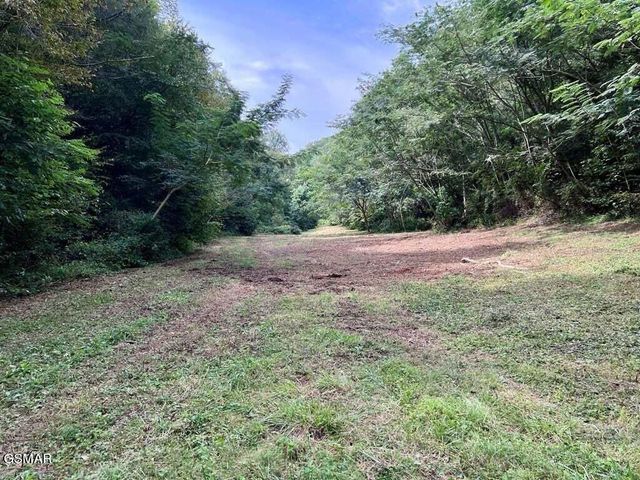 1570 S Helton Road, Sevierville, TN 37862