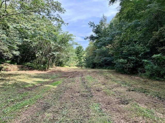 1570 S Helton Road, Sevierville, TN 37862