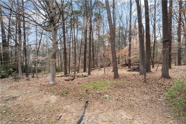 21 Ridgeland, Tuscaloosa, AL 35406