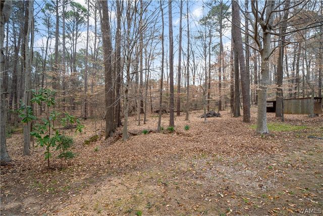 21 Ridgeland, Tuscaloosa, AL 35406