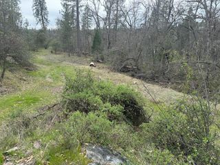0 Road 225, North Fork, CA 93643