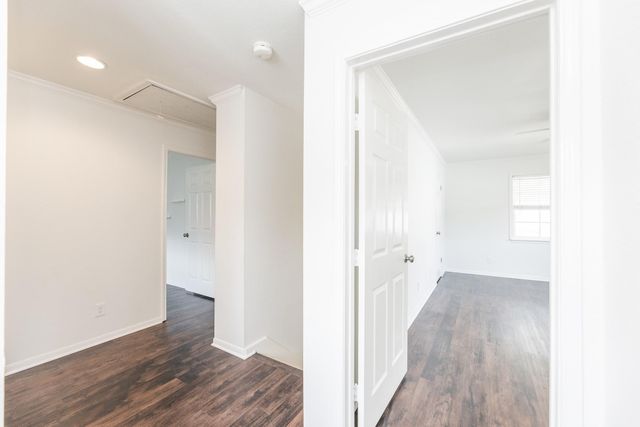 3010 Riata Lane, Houston, TX 77043