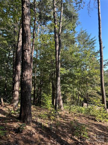 00 Wildlife Lake Road, Old Fort, NC 28762