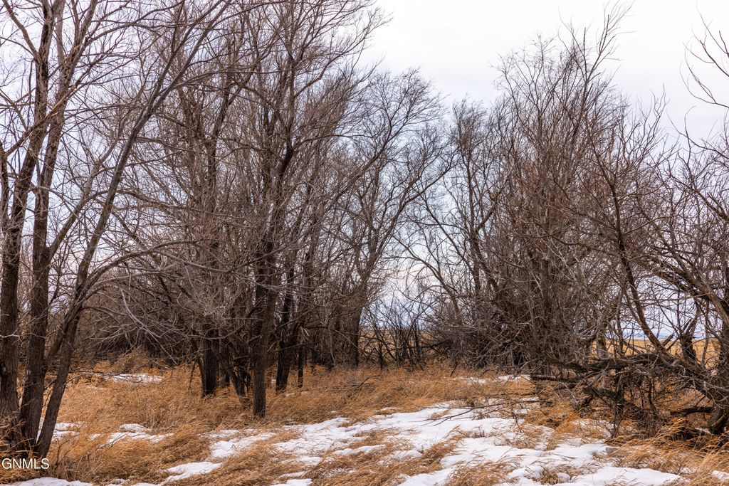 1587 18th Avenue NW, Turtle Lake, ND 58575 photo 44