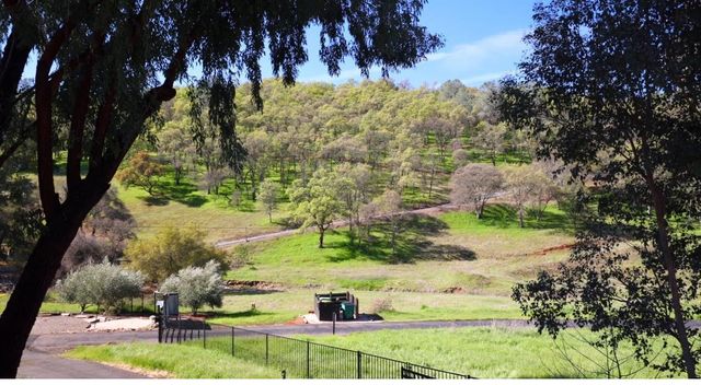 1601 Pheasant Ln, El Dorado Hills, CA 95762