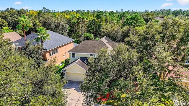 10207 DEERCLIFF DRIVE, Tampa, FL 33647