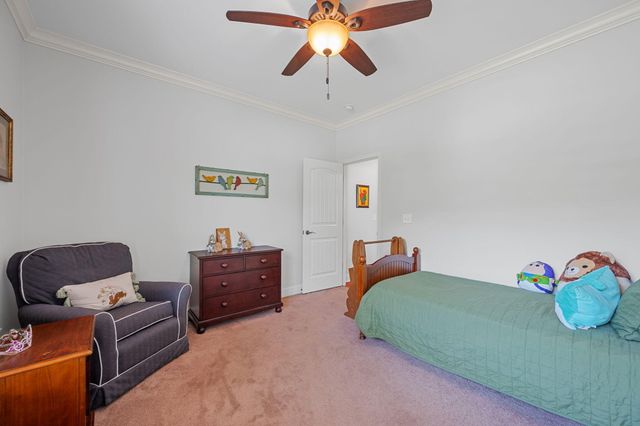 8879 Mckenzie Farm Drive, Ooltewah, TN 37363