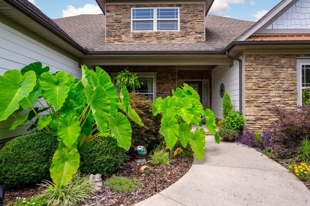 8879 Mckenzie Farm Drive, Ooltewah, TN 37363
