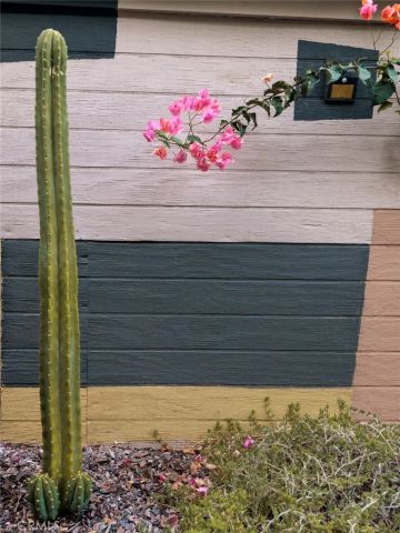 6205 Vidette, Los Angeles, CA 90042