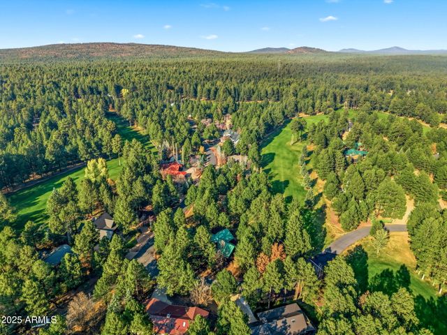 3417 ROARING FORK Drive, Pinetop, AZ 85935