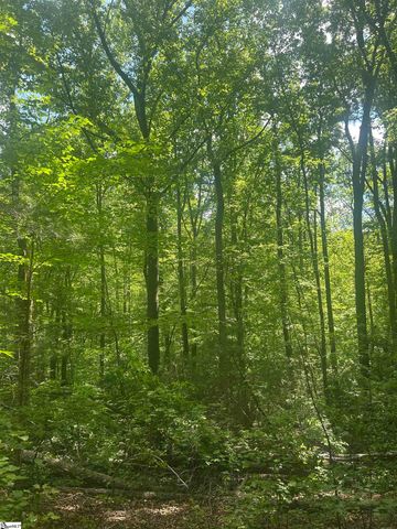 00 Allen Road, Travelers Rest, SC 29690