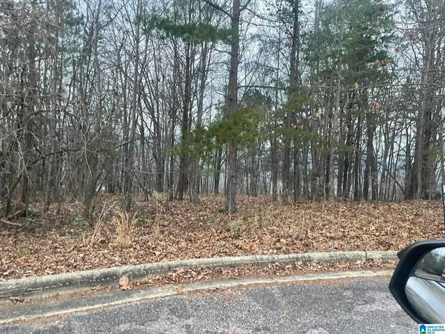 0 CHRISTINE AVENUE, Anniston, AL 36207