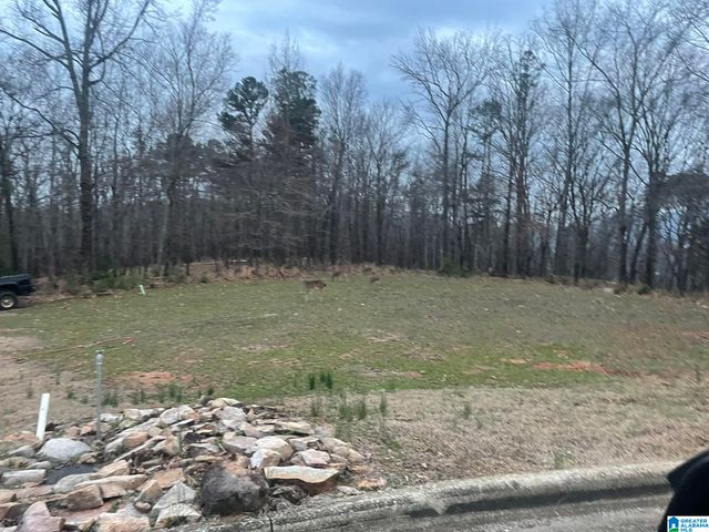 0 CHRISTINE AVENUE, Anniston, AL 36207