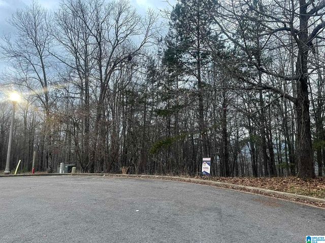 0 CHRISTINE AVENUE, Anniston, AL 36207