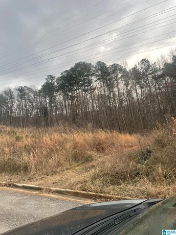 0 CHRISTINE AVENUE, Anniston, AL 36207