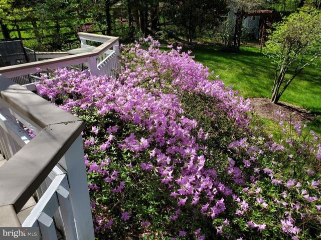 1 ORCHARD WAY S, Potomac, MD 20854