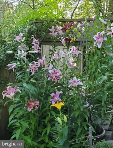 1 ORCHARD WAY S, Potomac, MD 20854