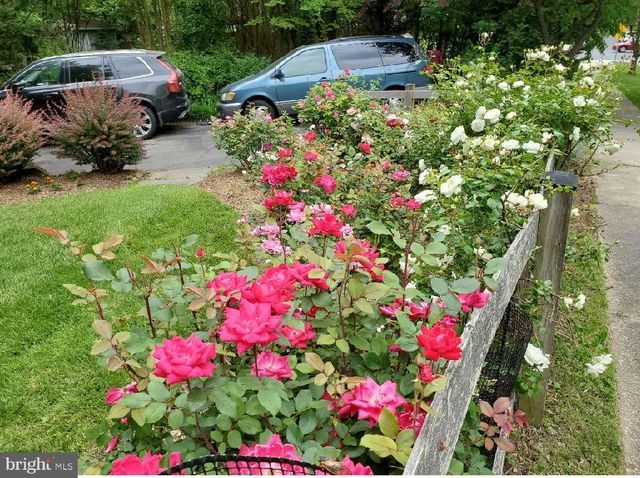 1 ORCHARD WAY S, Potomac, MD 20854