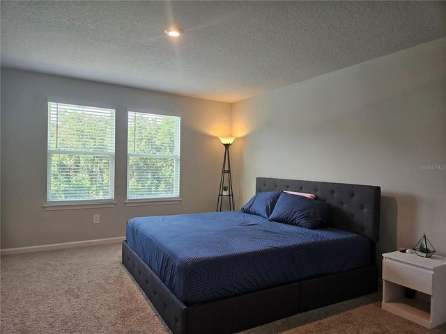 26030 FANTASY SKY LANE, Lutz, FL 33559