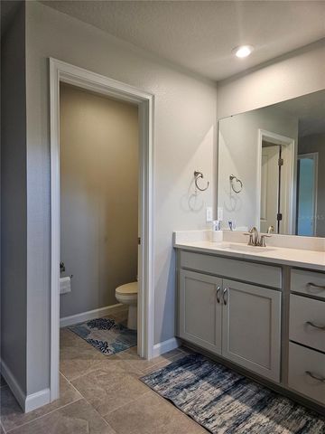 26030 FANTASY SKY LANE, Lutz, FL 33559