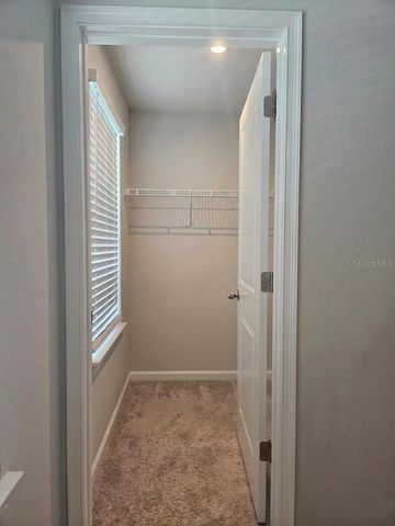 26030 FANTASY SKY LANE, Lutz, FL 33559
