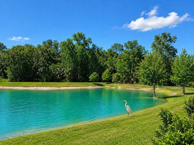 26030 FANTASY SKY LANE, Lutz, FL 33559