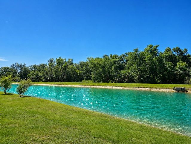 26030 FANTASY SKY LANE, Lutz, FL 33559