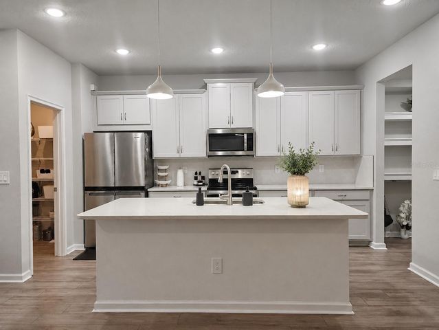 26030 FANTASY SKY LANE, Lutz, FL 33559