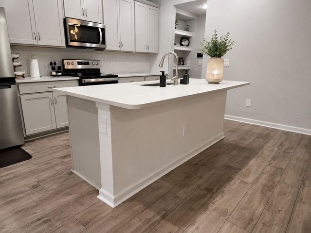 26030 FANTASY SKY LANE, Lutz, FL 33559