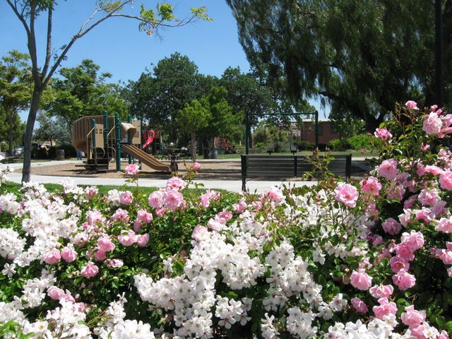 5805 Chambertin Drive, San Jose, CA 95118