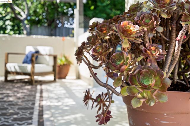 3631 Lyon Ave, Oakland, CA 94601