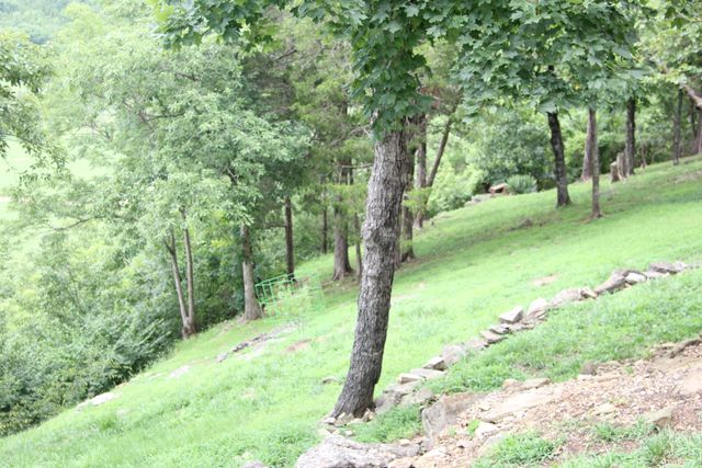 8006 Cliff Drive, Merriam Woods, MO 65740