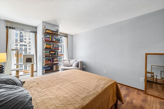 433 S 7th Street 1917, Minneapolis, MN 55415