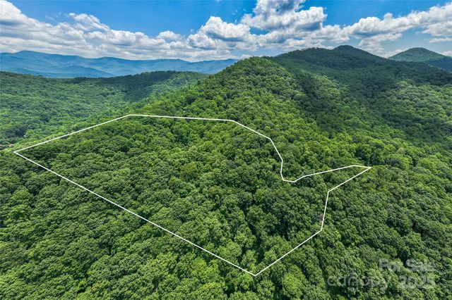 99999 Countryside Estate, Barnardsville, NC 28709