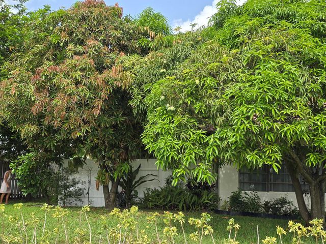 304 Knob Hill Boulevard, Boca Raton, FL 33431