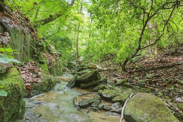 3515 S Puckett Road, Buford, GA 30519