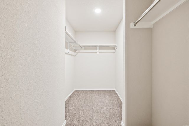 4016 Redberry Ct, Alexander, AR 72002