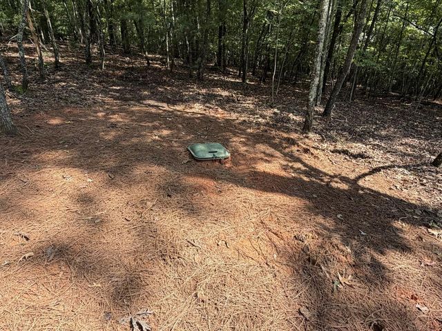 Lt 6 Wolf Creek Trail, Mineral Bluff, GA 30559