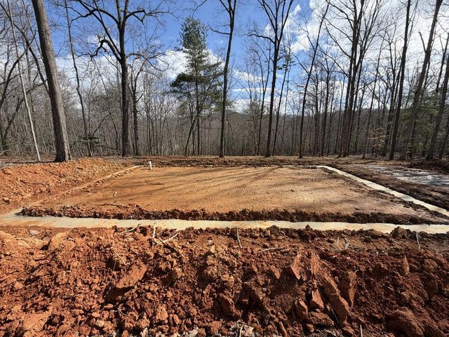 Lt 6 Wolf Creek Trail, Mineral Bluff, GA 30559