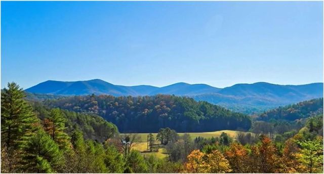 LOT 5 Gold Ridge Trail, Cherry Log, GA 30522