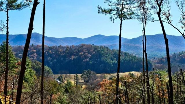 LOT 5 Gold Ridge Trail, Cherry Log, GA 30522