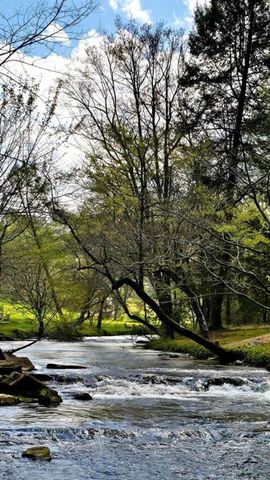 LOT 5 Gold Ridge Trail, Cherry Log, GA 30522